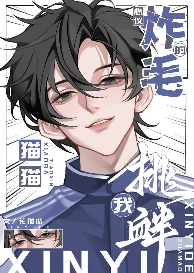 心仪的炸毛猫猫挑衅我