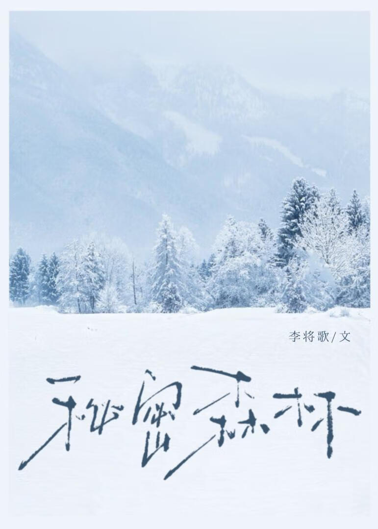 秘密森林［破镜］