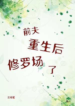 前夫重生后修罗场了