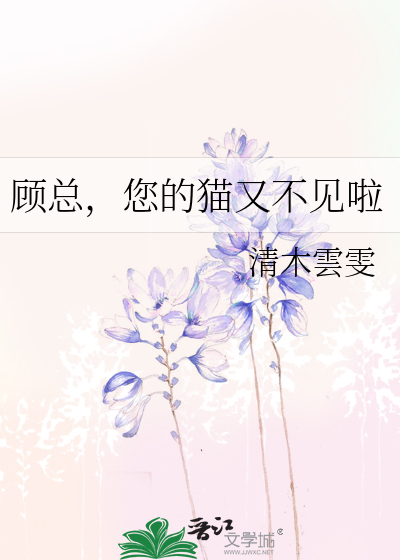 顾总，您的猫又不见啦